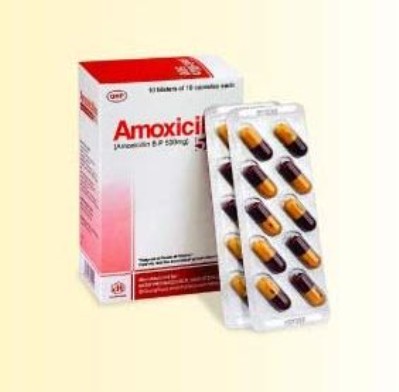 Bao bì thuốc Amoxicillin 500 mg8
